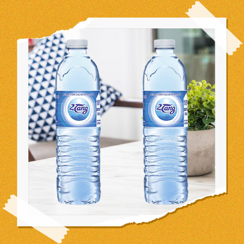 RV AIR PEGUNUNGAN AIR MINERAL 2 TANG AIR MINUM BOTOL 600 ML