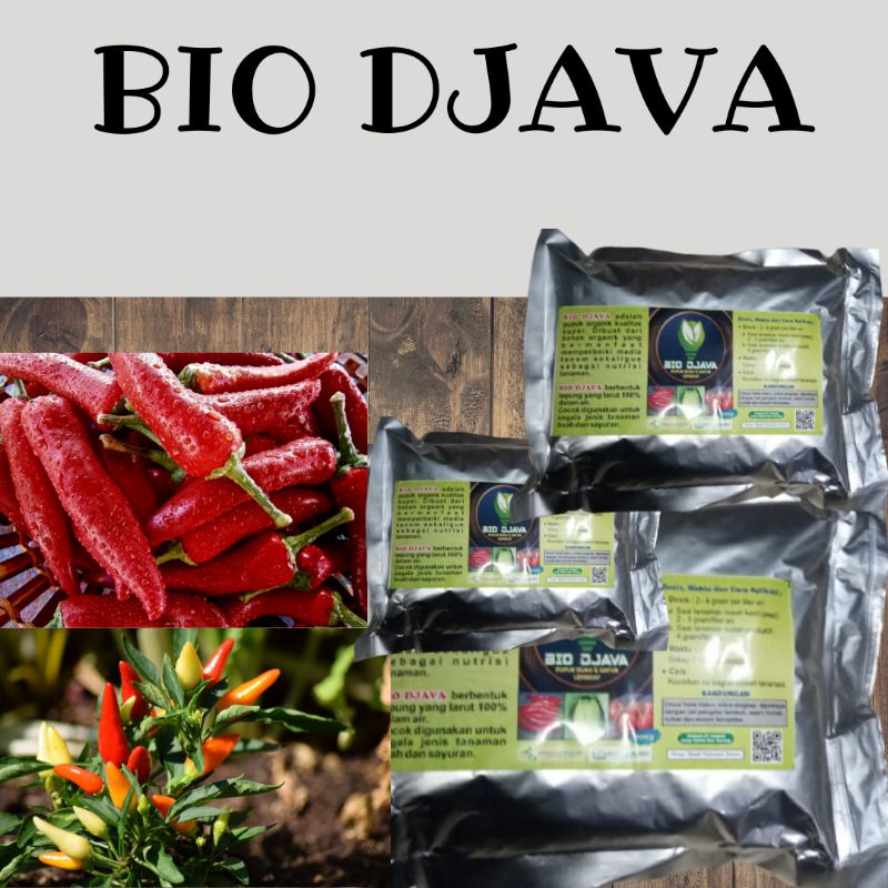 Pupuk Cabe Biar Subur, Pupuk Tanaman Untuk Buah Cabe Lebat