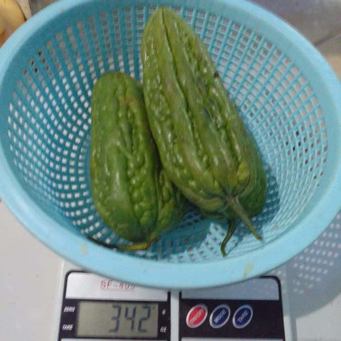 

sayur pare