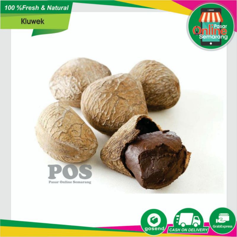 

Kluwak / Kluak / Bumbu Dapur / Empon Empon / Bumbu Masakan Semarang