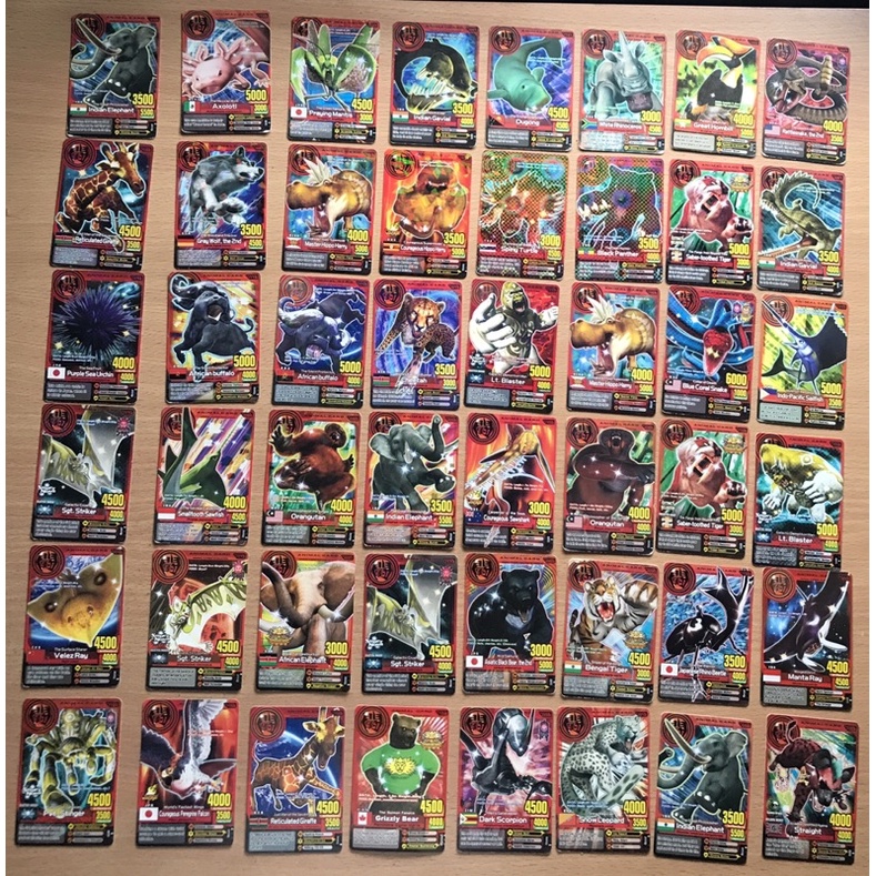 Animal Kaiser Card
