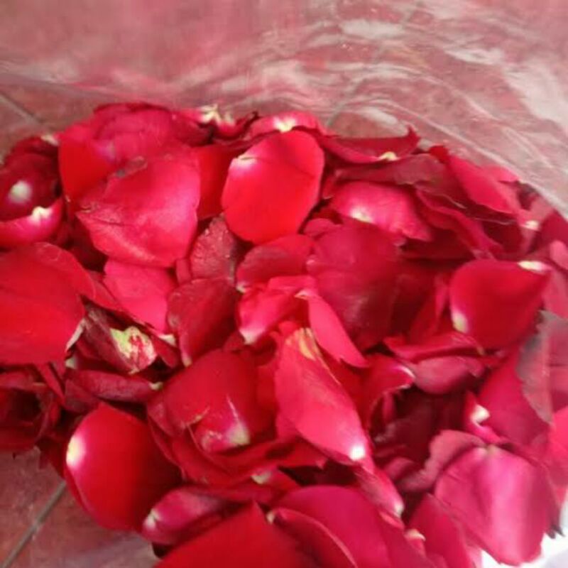 Kelopak Bunga Mawar Asli Segar Kelopak Mawar Merah red rose petals