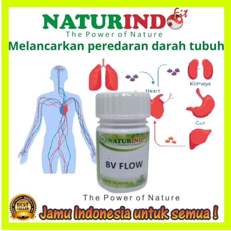 Bv flow obat herbal pelancar darah herbal tradisional bpom halal sirkulasi darah tersumbat BV FLOW