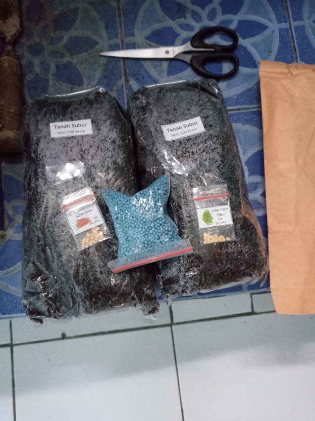 Isi 10 Biji- Benih Unggul Cabe/cabai Besar