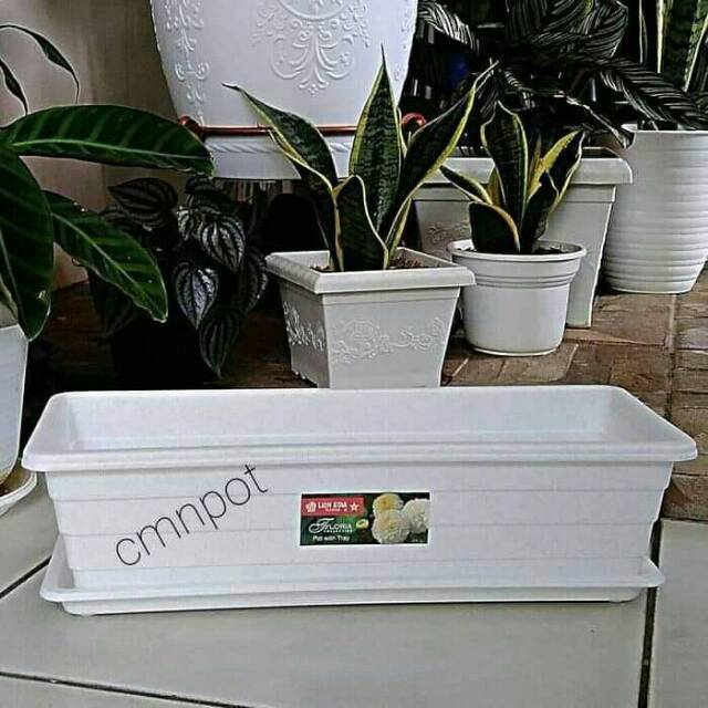 Pot Bunga Persegi Panjang LS Trivetto ukuran M dan Tatakan Pot Bunga Persegi Panjang LS Trivetto ukuran M dan Tatakan