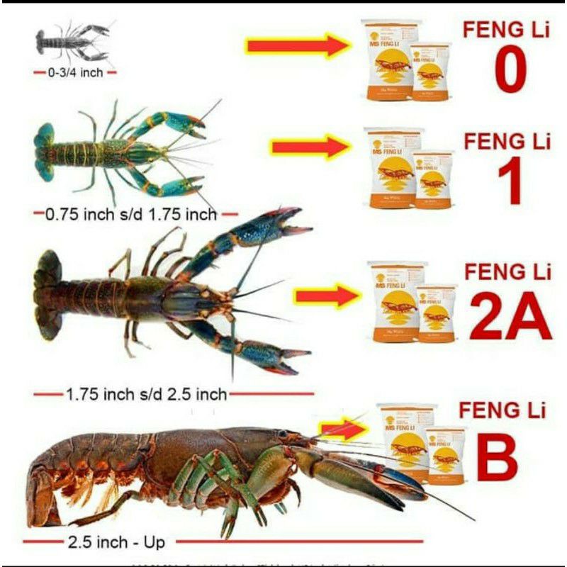 FENGLI 0 FENG LI 0 pakan tenggelam pelet udang lobster air tawar 1kg