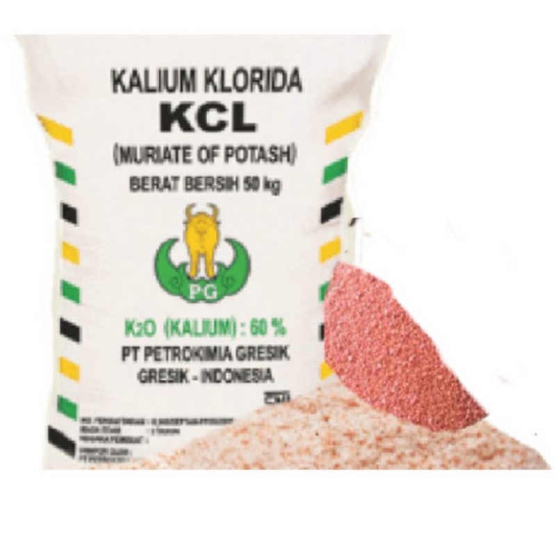 pupuk kcl