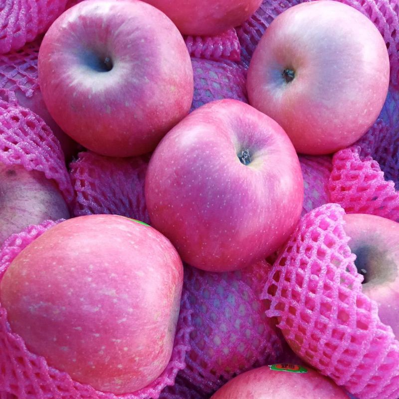 

MURAH!!ApelFujiBuahSegar