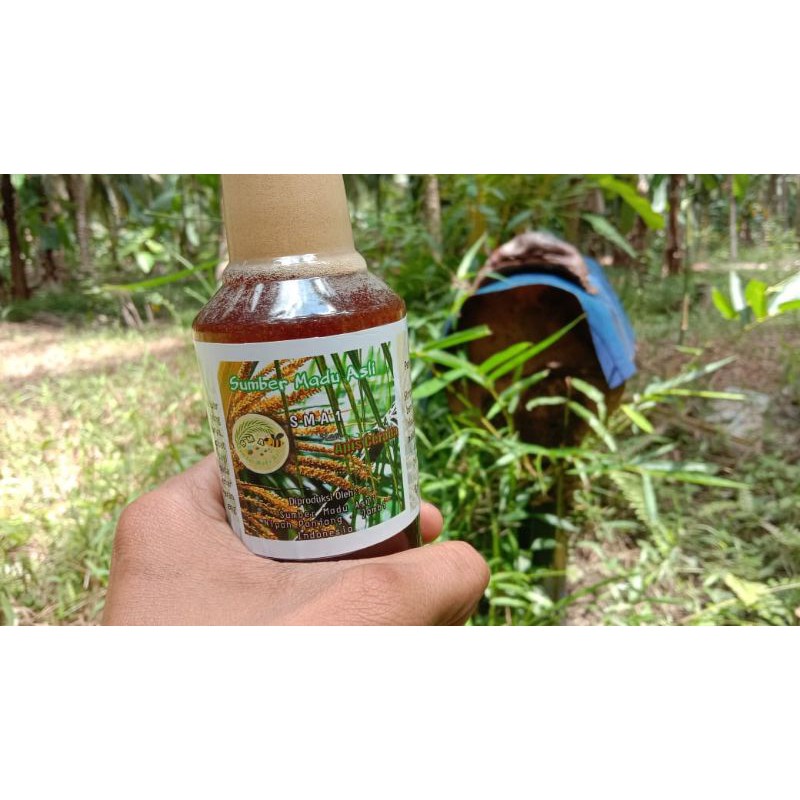 

sumber madu asli (sma) madu liar nektar bunga kelapa. 350ml