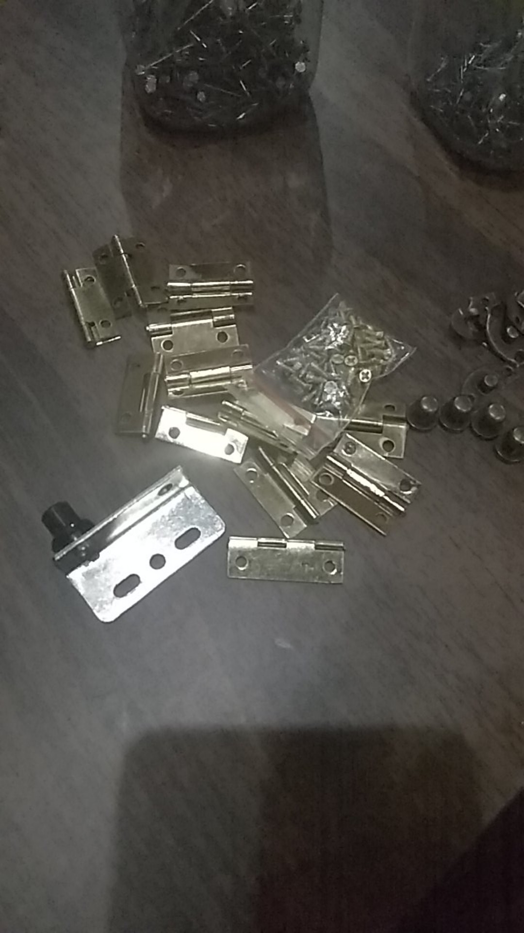 Engsel Pivot 40mm Lemari Kabinet A.pv102 Pen Tanam Pivot Hinge 4pcs