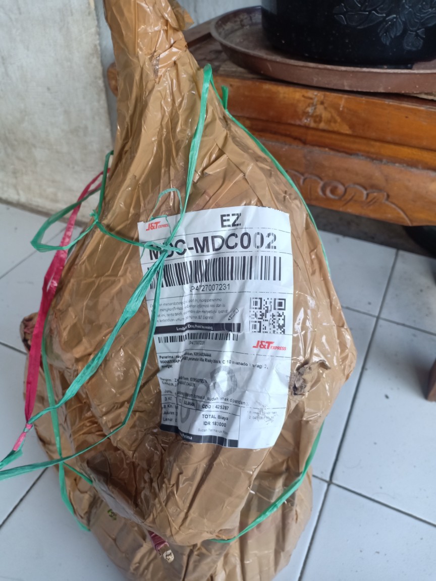 Bonsai Jadi Tinggal Pajang,gaya Natural,sudah Enak Dipandang