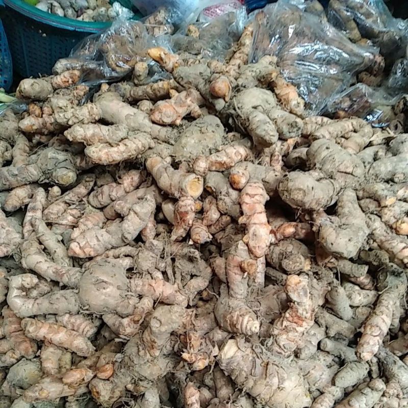 

kunyit segar500gr