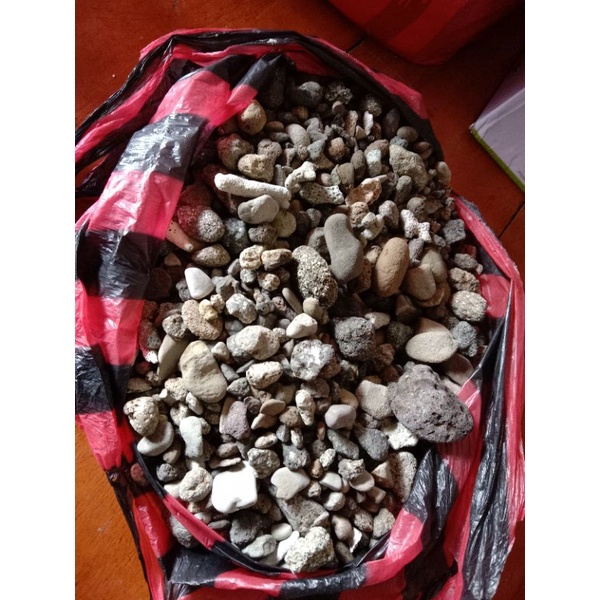 BATU KORAL KECIL 1KG UNTUK AQUARIUM