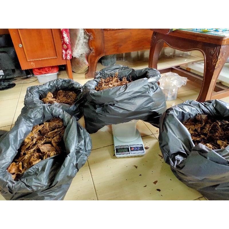 

daun Ketapang Fermentasi 500gram