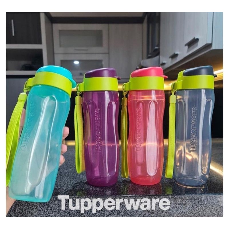 Eco bottle 500ml/eco bottle/fancy eco bottle