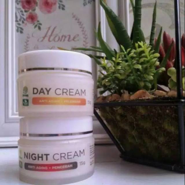 Day cream dan night cream hni hpai