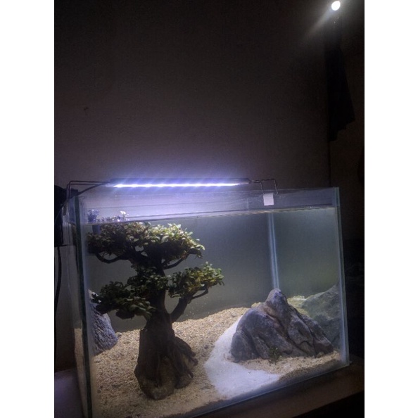 aquascape simple batu