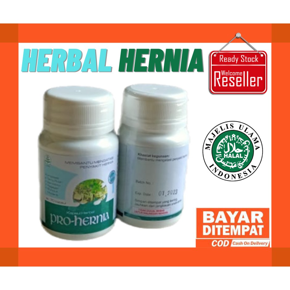 Prohernia Obat Herbal Untuk Hernia Atau Turun Bero Herbal Pro Hernia Original Isi 80 Kapsul Shopee Indonesia