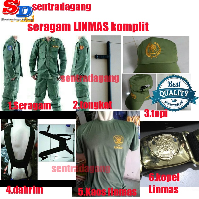 linmas pesenan 8 picis