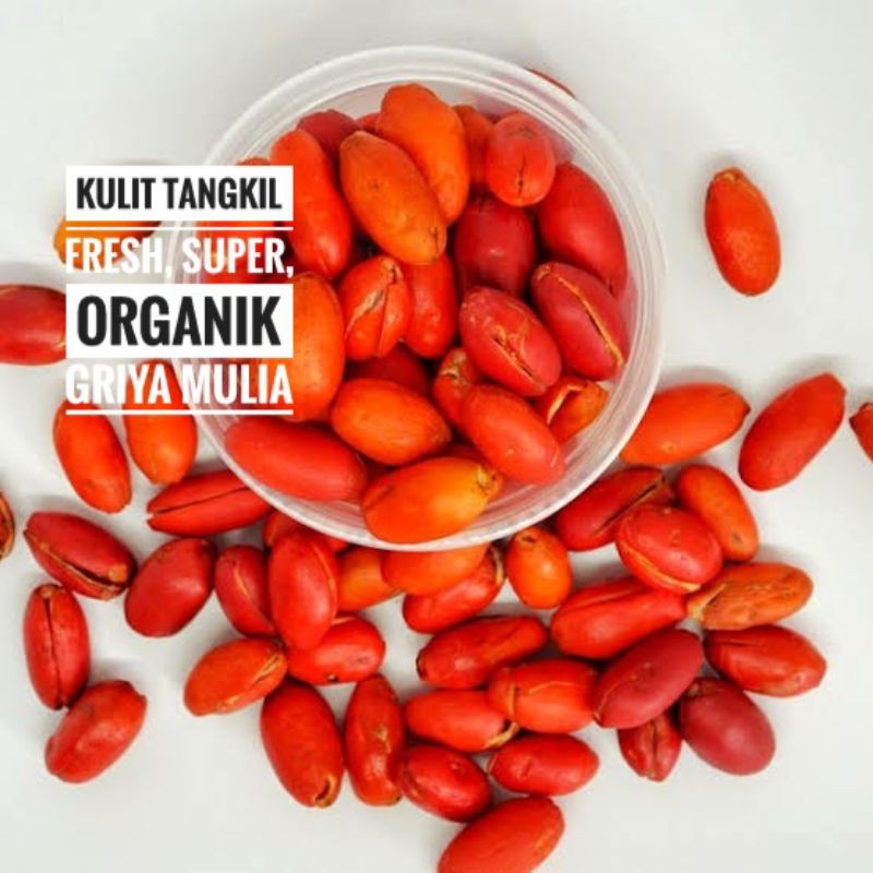 

Kulit Tangkil segar Organik / Kulit Melinjo segar organik / kulit so