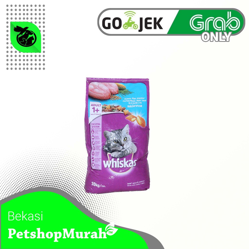 [GOSEND] Makanan Kucing Dewasa Murah Cat Food Whiskas 20 Kg Ocean Fish