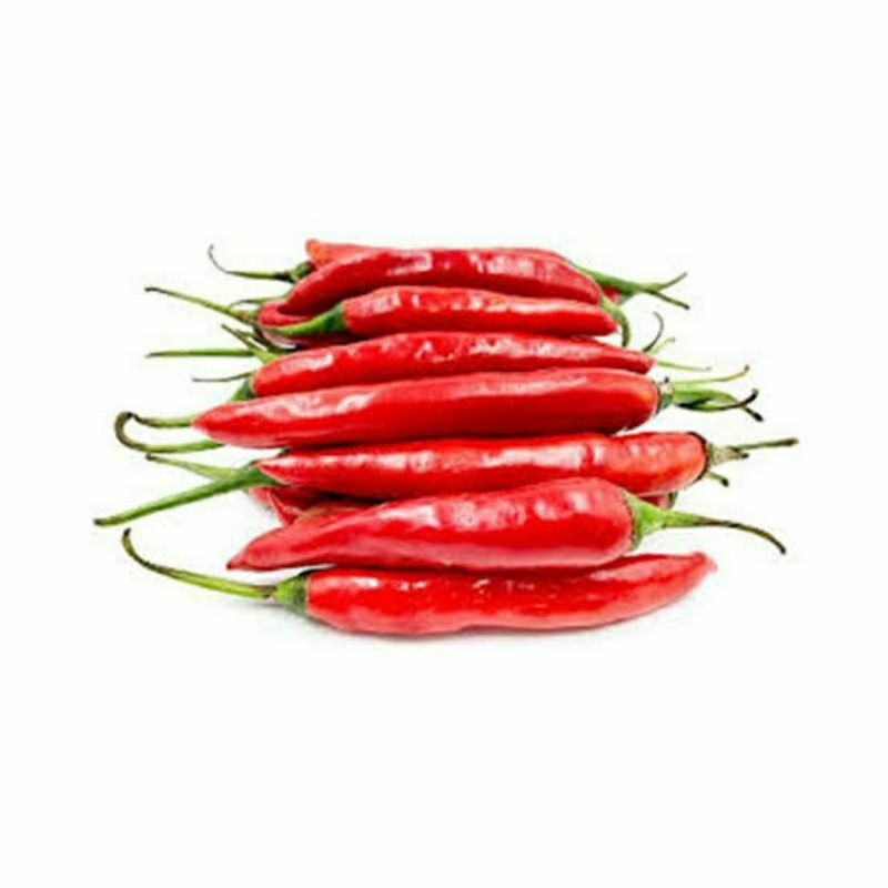 

cabe merah besar