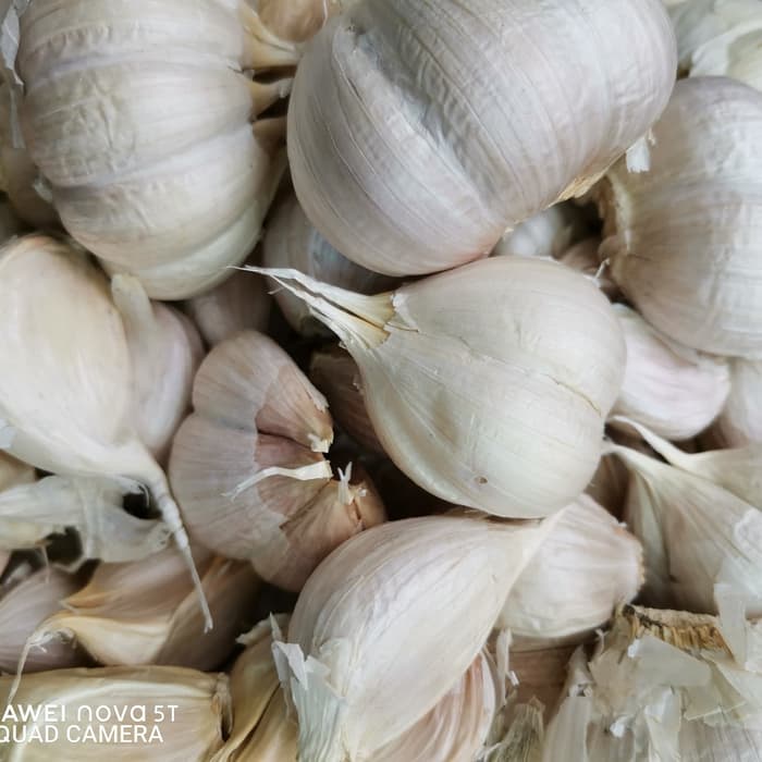 

Siap Kirim Bawang Putih Kating 1Kg/1000Gr