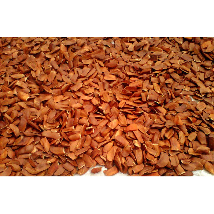 

BIJI MAHONI 1 KG - Swietenia Macrophylla - MURNI - JSR - REMPAH