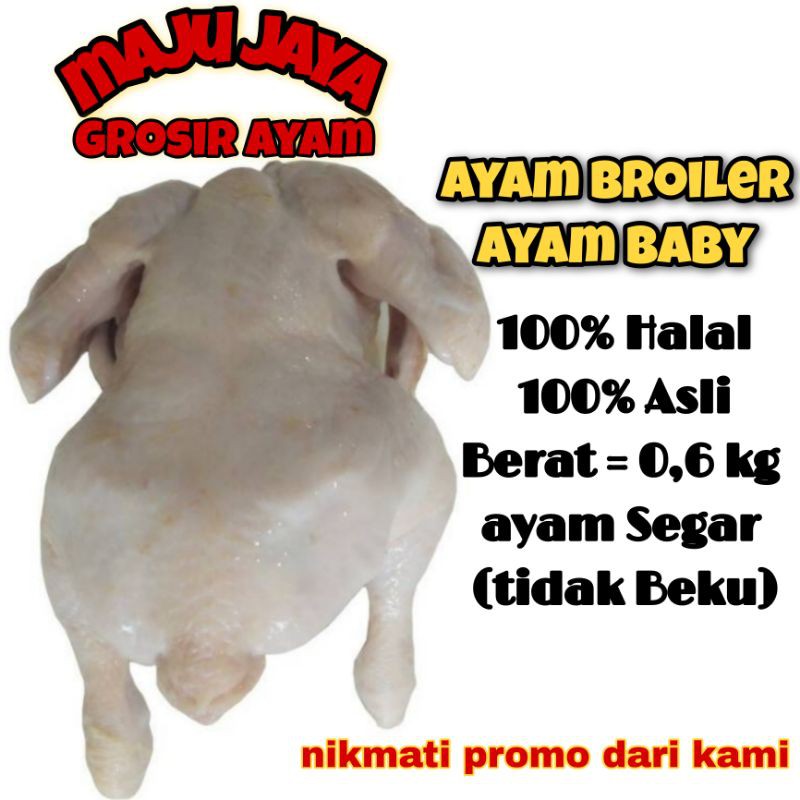 AYAM BABY UK. 0.5 -0.6 ons AYAM SATUAN / AYAM UTUH / AYAM 1 EKOR / AYAM BERKUALITAS / AYAM FRESH