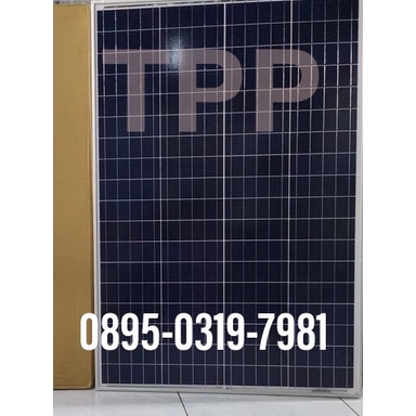 Promo Panel Surya Poly 100Wp 100 Wp Solar Panel