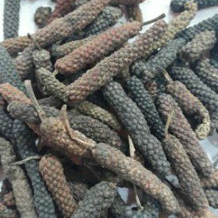 

Cabe puyang/cabe jawa/cabe jamu