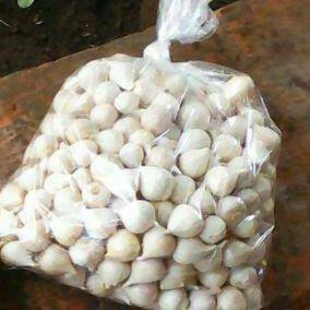 

BAWANG PUTIH TUNGGAL/BAWANG LANANG 250GRAM HERBAL ALAMI