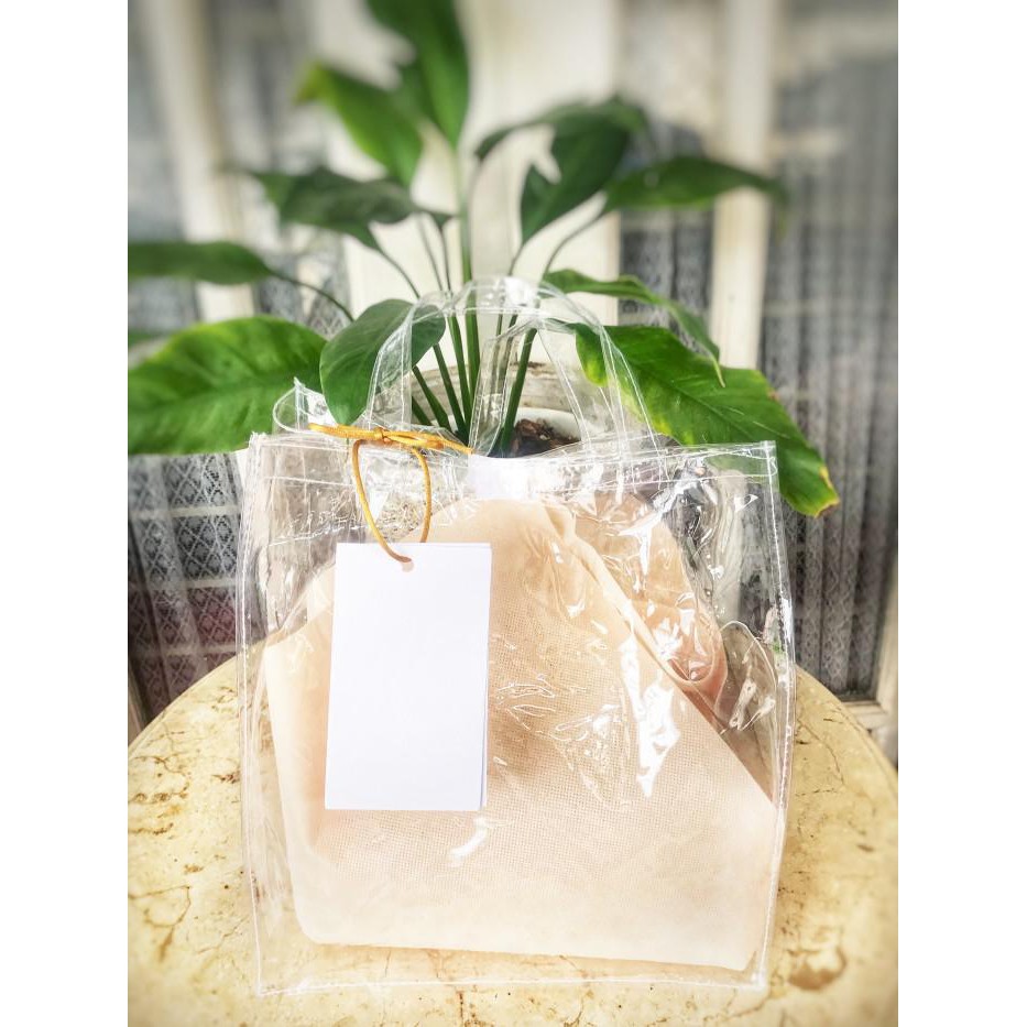 

Goodie Bag / Tas Hampers Transparant P.22 L.17 T.25 Berkualitas