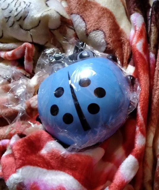 Tempat Odol Sikat Gigi Ladybug/holder Kumbang