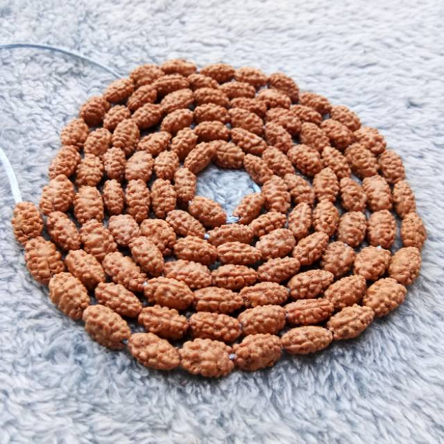 KALUNG  JENITRI RUDRAKSHA MUKHI 2