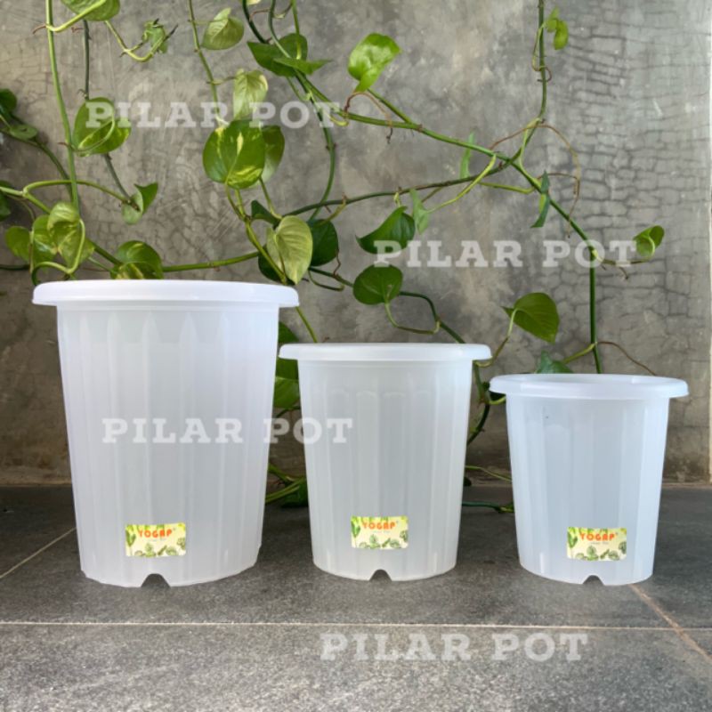 pot bunga tanaman tinggi yogap YPT 10 bening transparan - bahan tebal