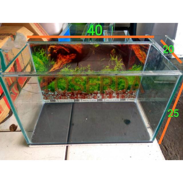 Akuarium 40x20x25 Aquarium Mini Aquarium Aquascape Akuarium Cupang Akuarium Kaca Kura Reptil Iguana Shopee Indonesia