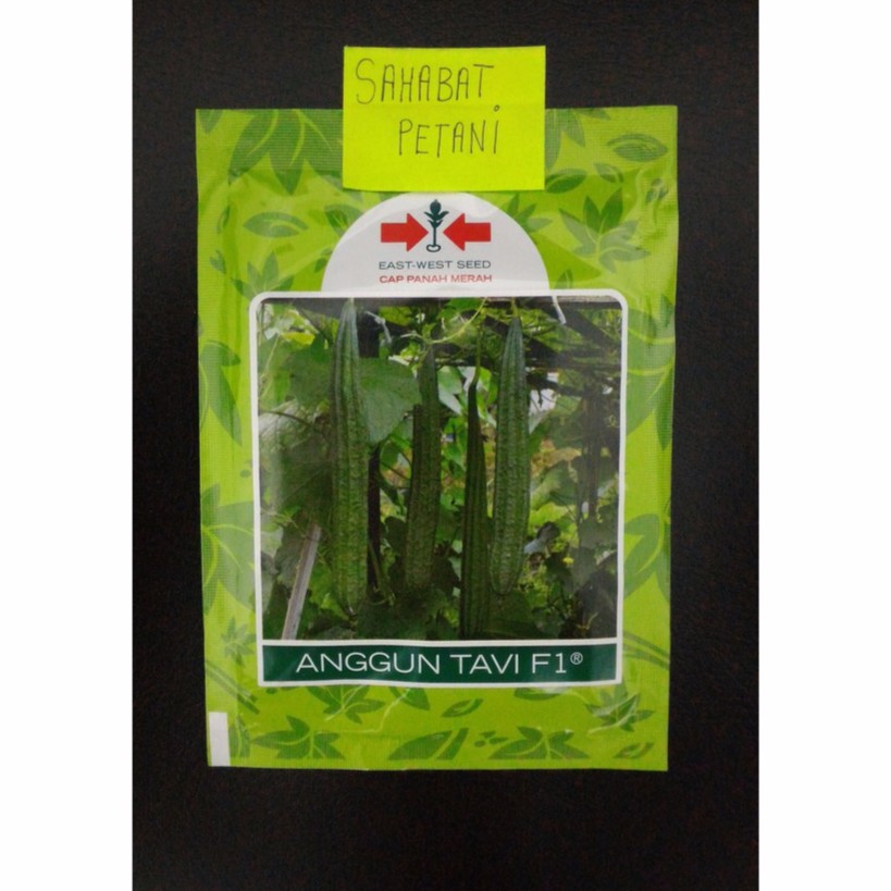 Benih Oyong / Gambas Tahan Virus Anggun Tavi 75 Butir