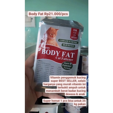 BODY FAT PENGGEMUK KUCING