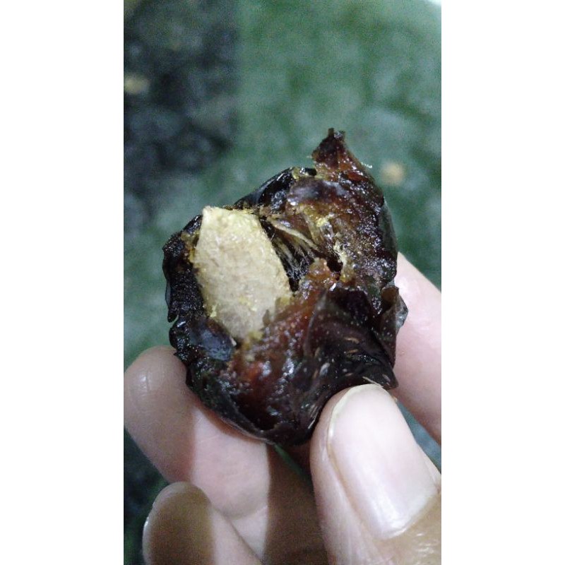 

KURMA AJWA PREMIUM | Gawhar Dates | 1kg