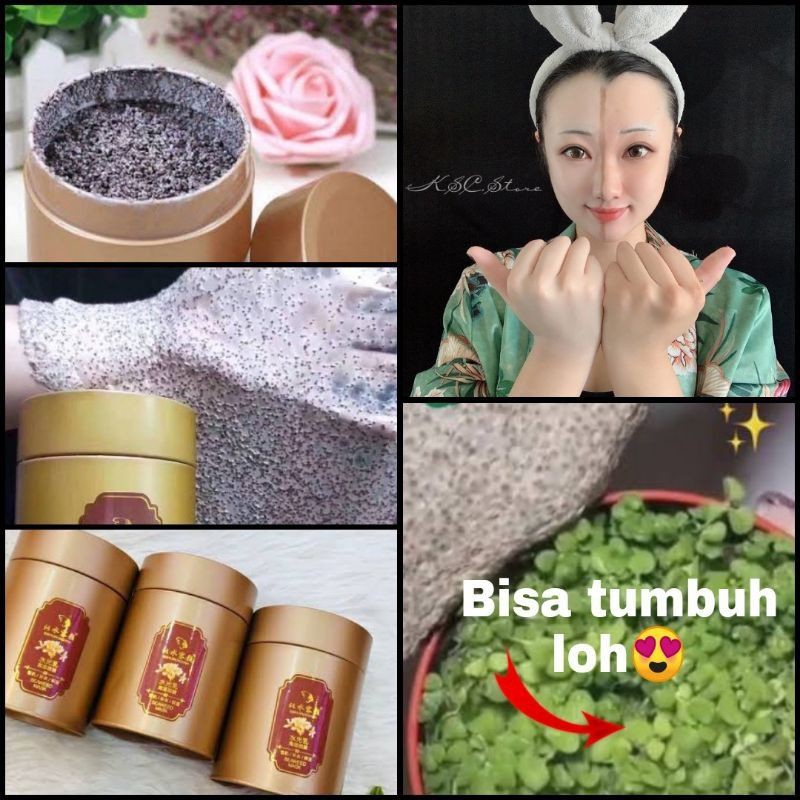 SEAWEED MASK Masker Rumput Laut Pearl Clay Mask 280gr | Masker Viral di Tiktok