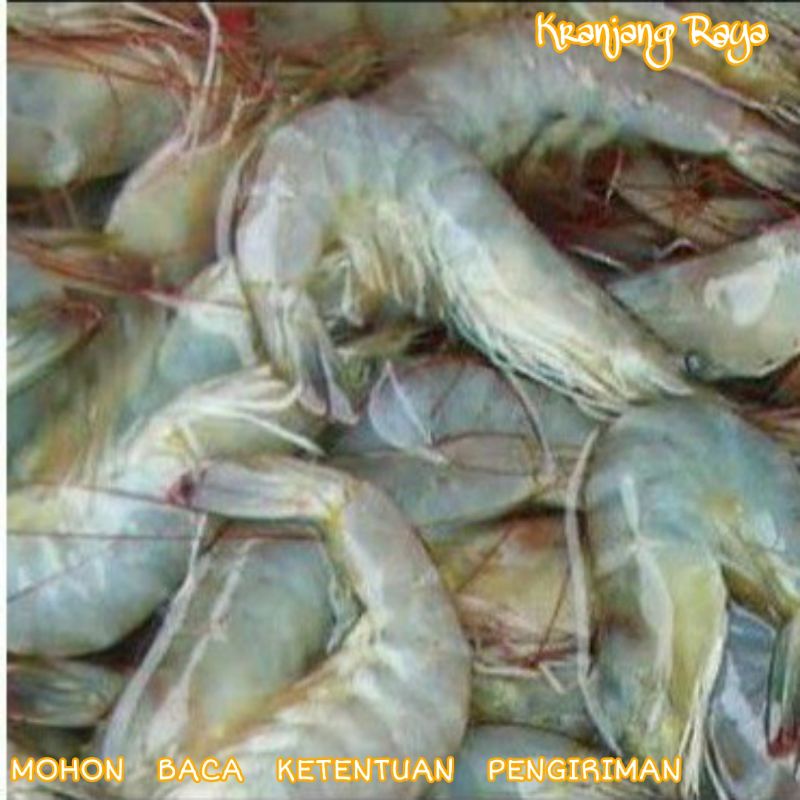 Udang Vename