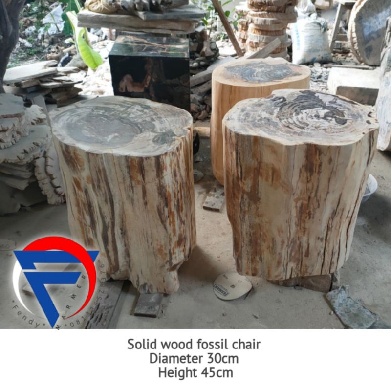 Kursi bulat solid bahan fosil kayu bentuk natural