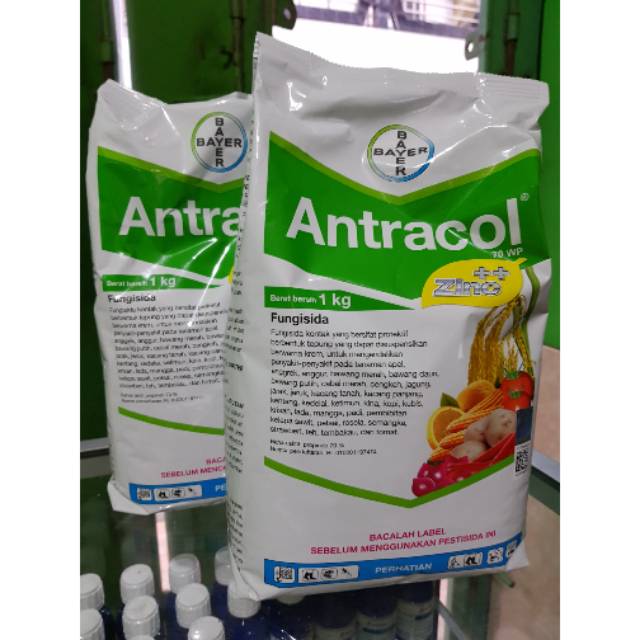 Antracol fungisida 1KG