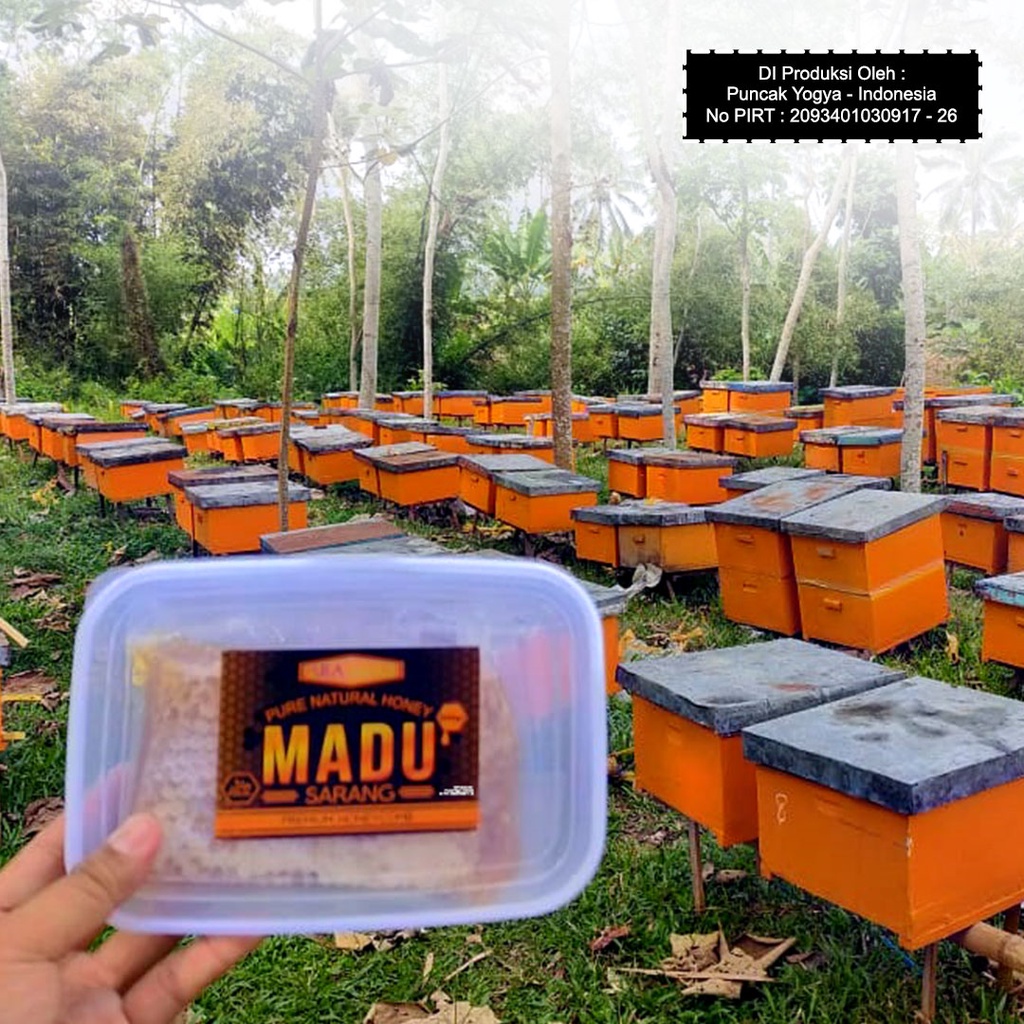 

Madu Sarang Asli Honeycomb Malifera 250gr / Madu Melifera Original