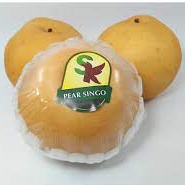 

Buah Kualitas Premium ( Pear Singo ) Kemasan 500 gram - 1 Kg / Pir Singo
