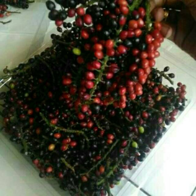 

Buah buni atau huni khusus pengiriman gosend