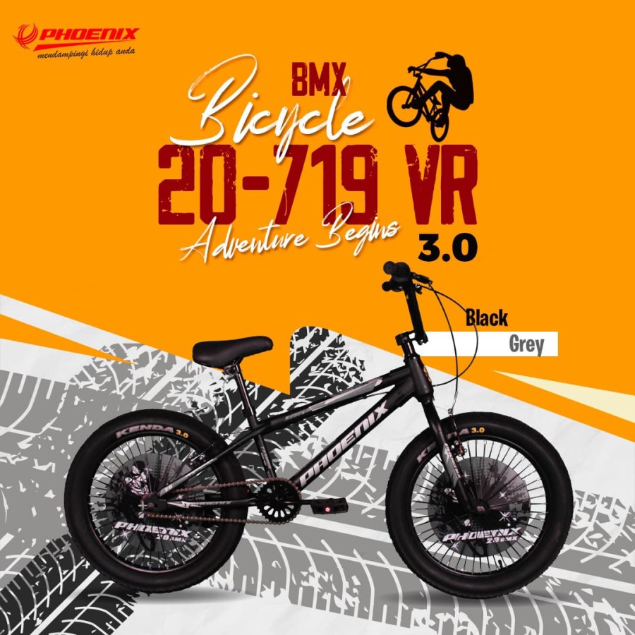 SEPEDA ANAK COWOK BMX 20" PHOENIX 719 VR BAN 3.0