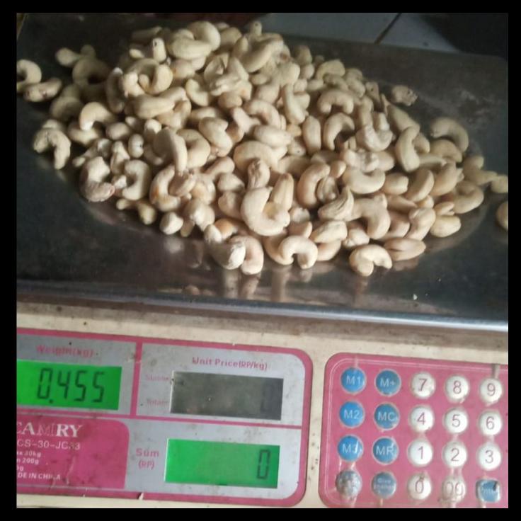 

DISKON TERBATAS !!! KACANG MEDE / METE MENTAH JUMBO SULAWESI TERLARIS
