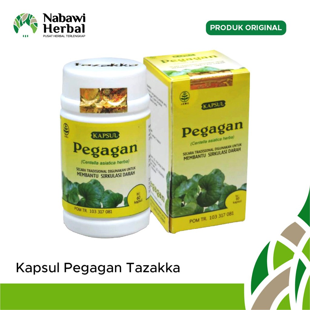 TAZAKKA - Ekstrak Daun Pegagan Isi 60 Kapsul